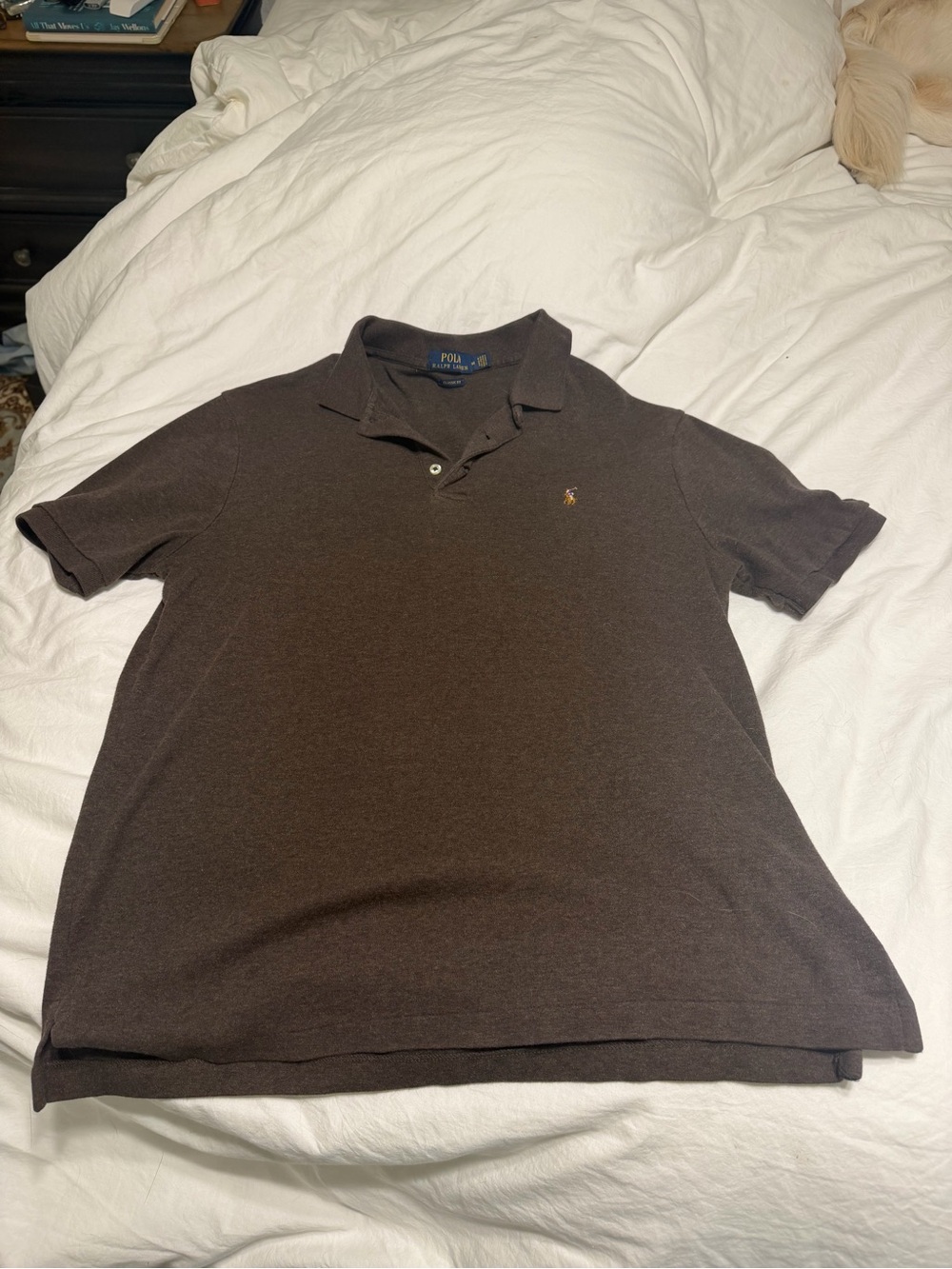Polo by Ralph Lauren Dark Brown Short-Sleeve Polo
